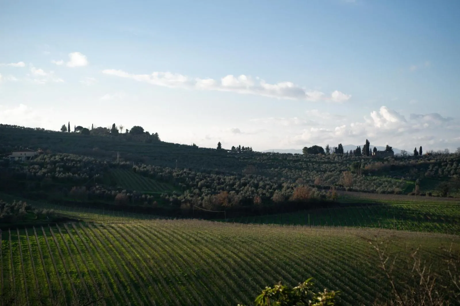 Casa Caterina Tuscany Moncioni 펜션