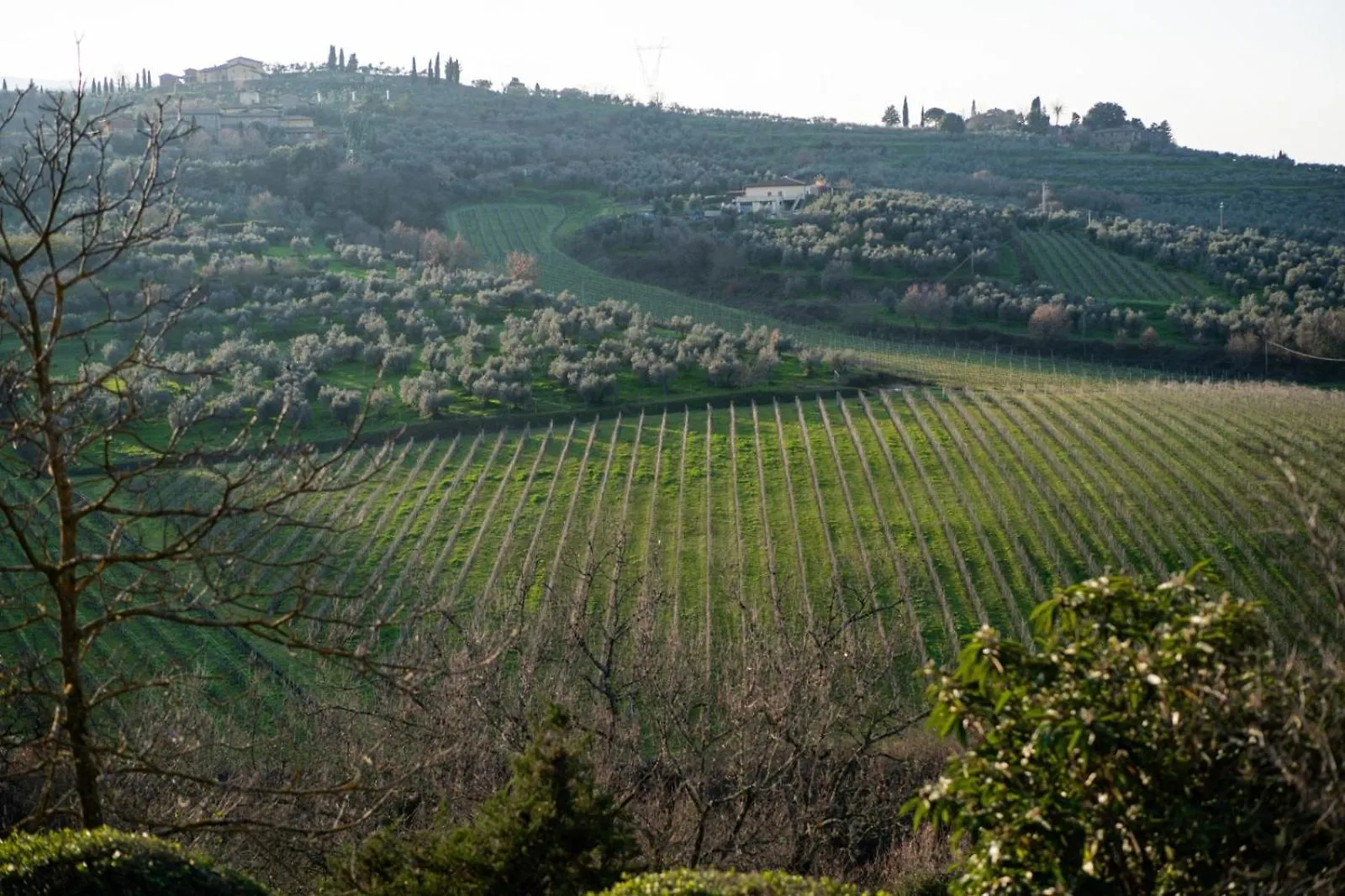 Casa Caterina Tuscany Moncioni Holiday home
