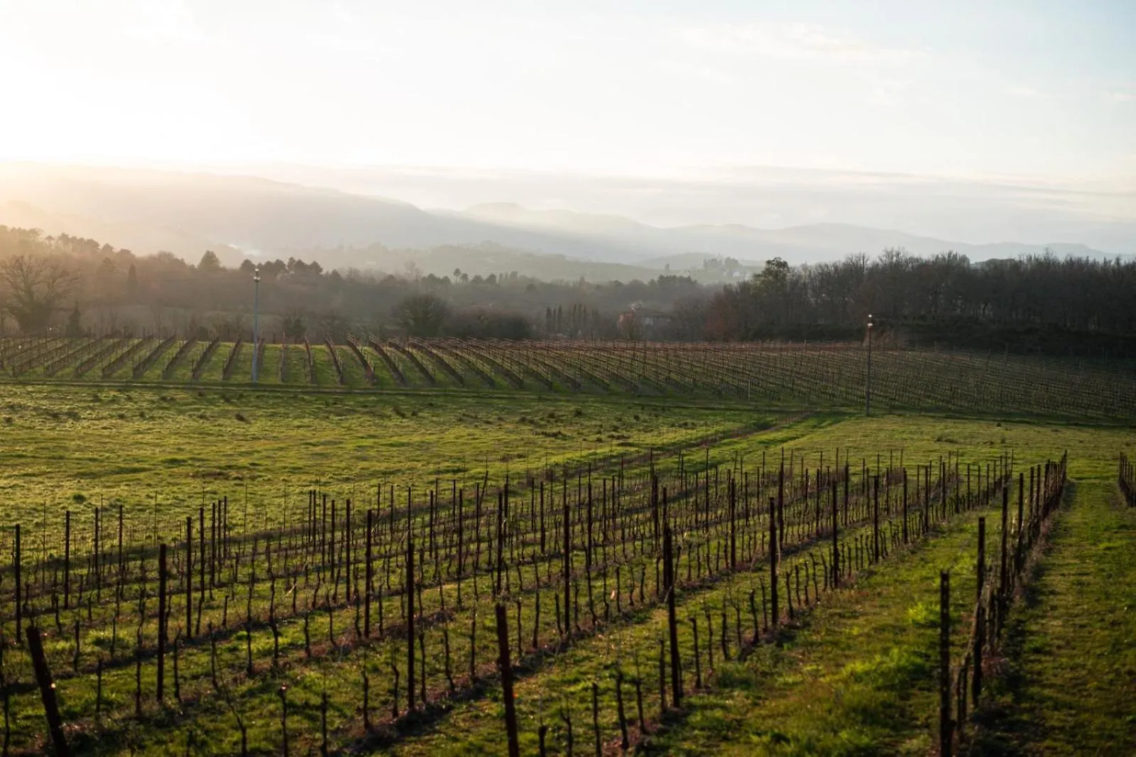 Casa Caterina Tuscany Moncioni 0*,